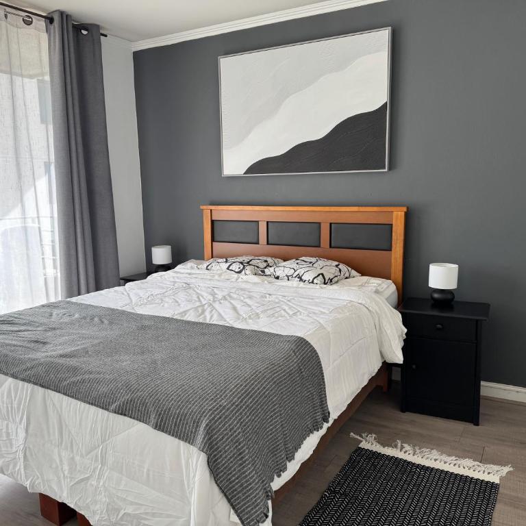 Providencia Central Suites - Two-Bedroom Apartment - 4