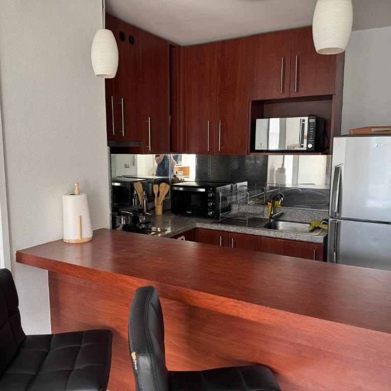Providencia Central Suites - Two-Bedroom Apartment - 6