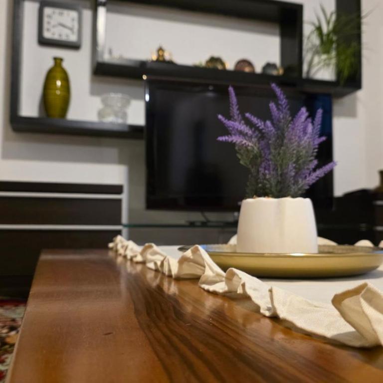 Old Town Bistrik apartment - Apartman sa 1 Spavaćom Sobom - 3