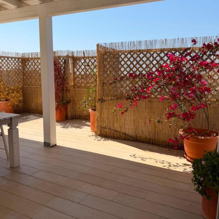 Altavista Suite - RC Apartments - Appartement 1 Chambre - 4