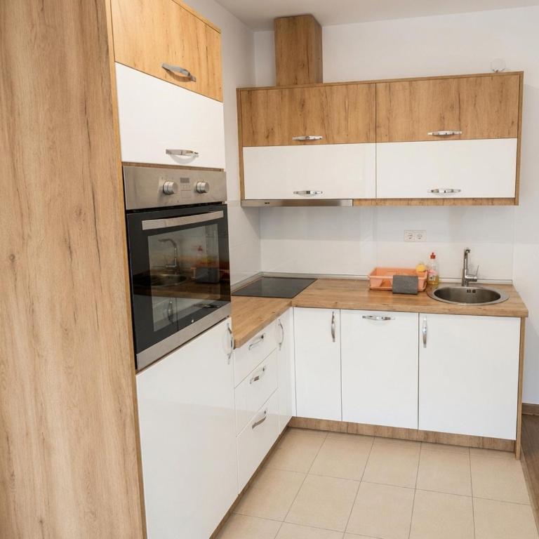 Apartman Mila lux Vrnjačka Banja - Apartment mit 1 Schlafzimmer - 11