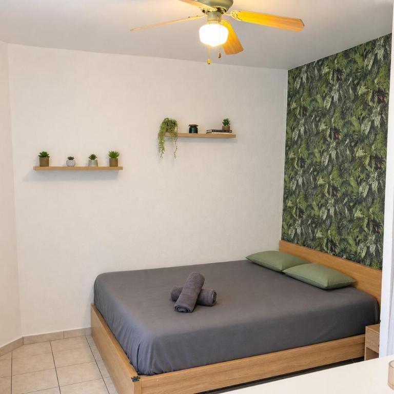 Charmant appartement - Cannes - Appartement 1 Chambre - 4