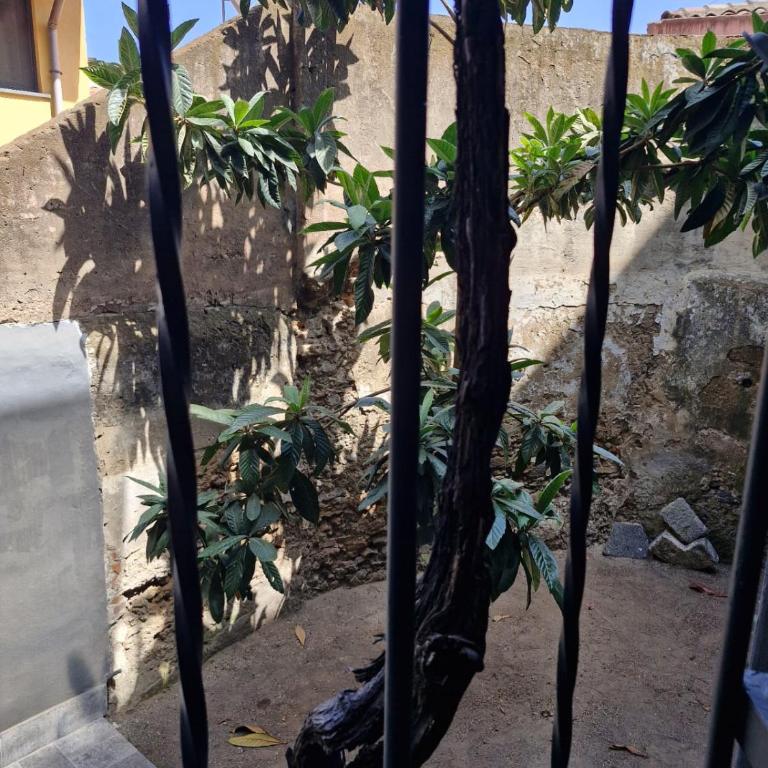 Locus amoenus - Casa Vacanze con 3 Camere da Letto - 18