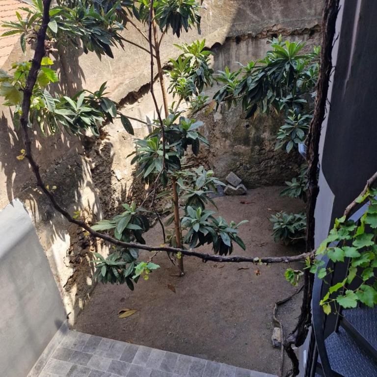 Locus amoenus - Casa Vacanze con 3 Camere da Letto - 29