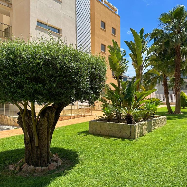 Green Oasis in Villamartin with heated pool and jakuzzi - Apartment mit 2 Schlafzimmern - 2