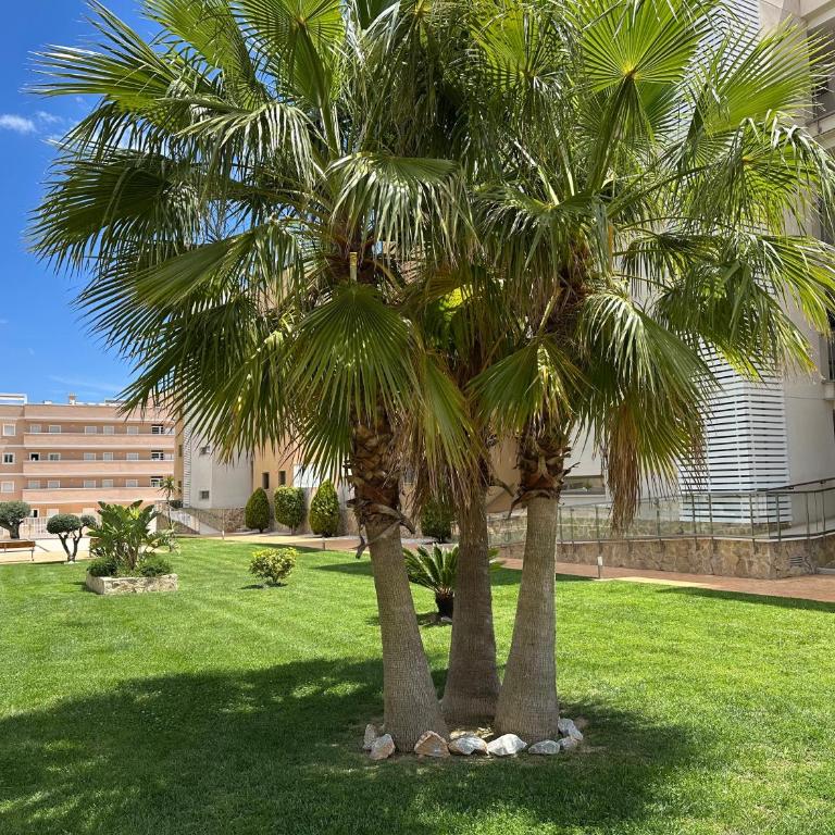 Green Oasis in Villamartin with heated pool and jakuzzi - Apartment mit 2 Schlafzimmern - 33
