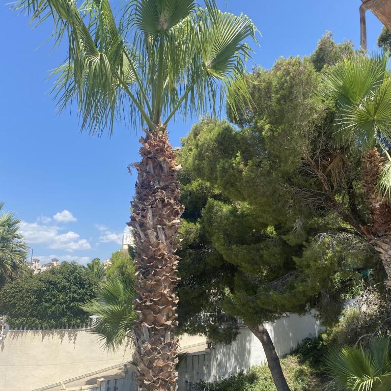 Villamartin LaZenia, Spacious house in a quiet neighborhood - Casa - 34