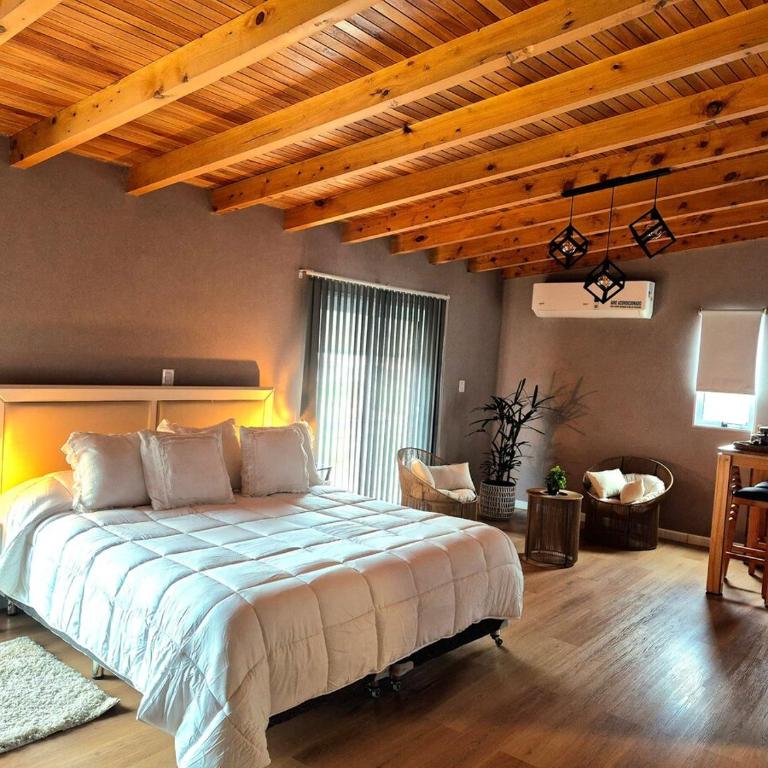 Alojamiento Los Sauces - Two-Bedroom Apartment - 1