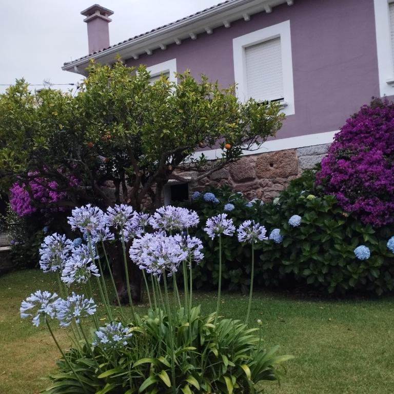Casa Do Maruxo - Maison 4 Chambres - 69
