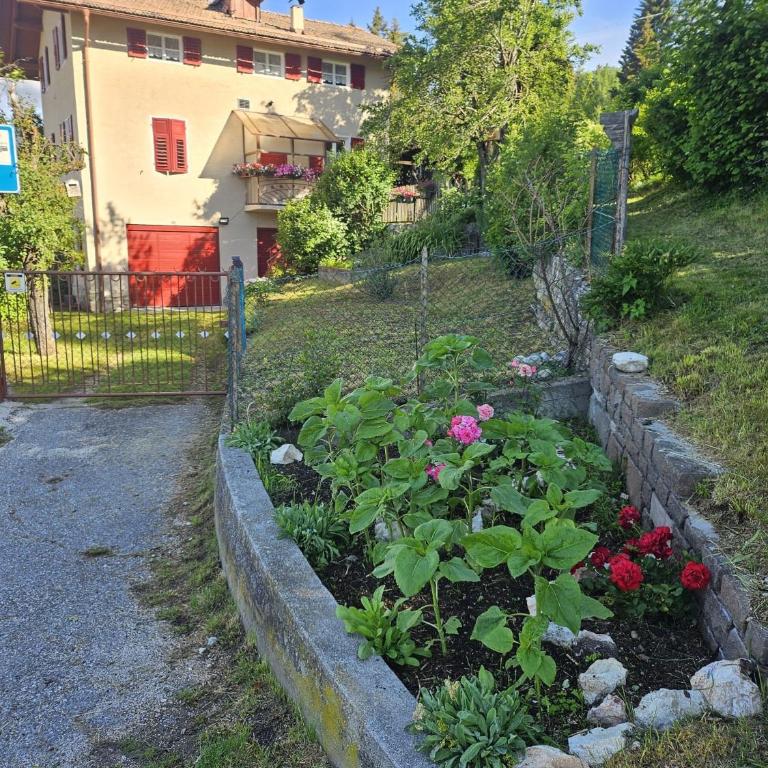Casa Montana & Zampette - Haus mit 4 Schlafzimmern - 2