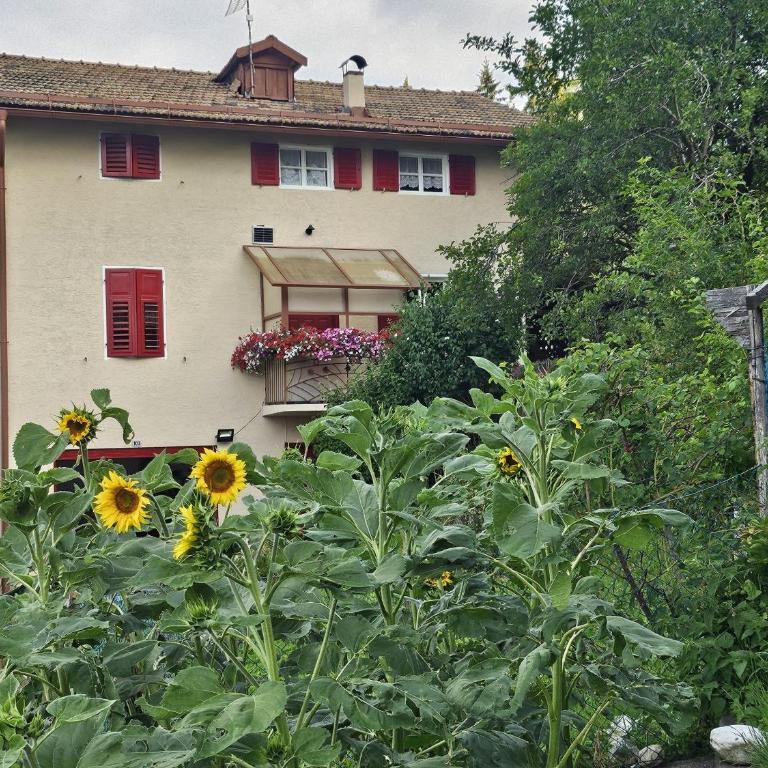 Casa Montana & Zampette - Haus mit 4 Schlafzimmern - 3