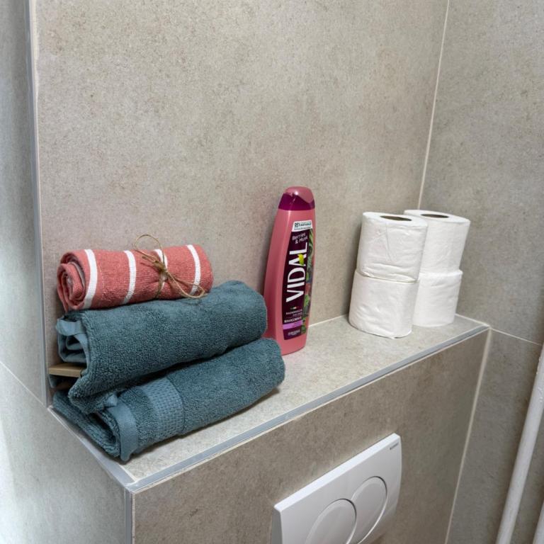 Sarajevo city station apartment - Apartman sa 1 Spavaćom Sobom - 3
