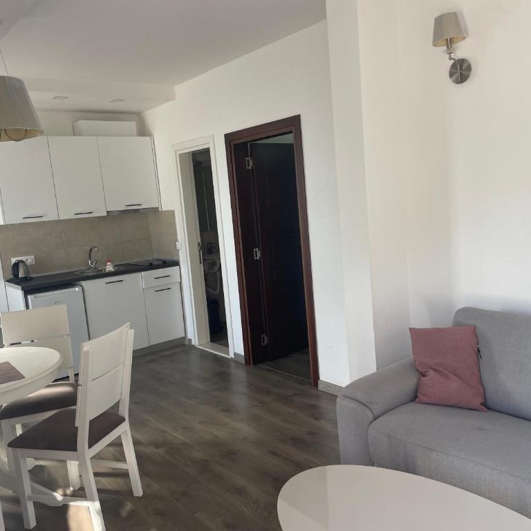 Apartmani Djurovic - Apartman sa Terasom - 10