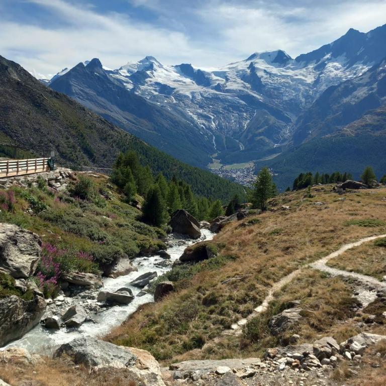 Wohnung in Saas Grund - Apartment mit 3 Schlafzimmern - 27