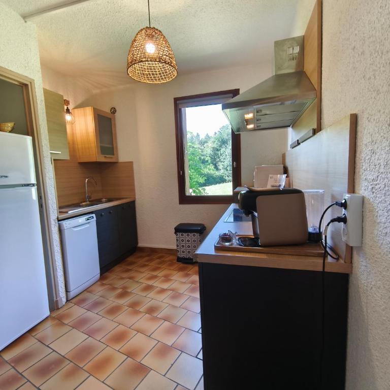 Six Duplex à la montagne POMPIERY - Apartamento Deluxe de 2 dormitorios - 10