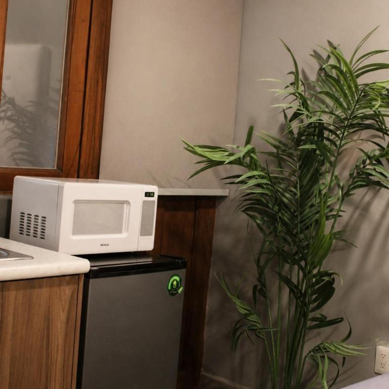 Bowra Orquideas - Suite Deluxe - 18