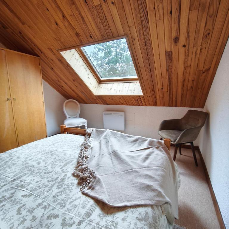 Six Duplex à la montagne POMPIERY - Apartamento Deluxe de 2 dormitorios - 20