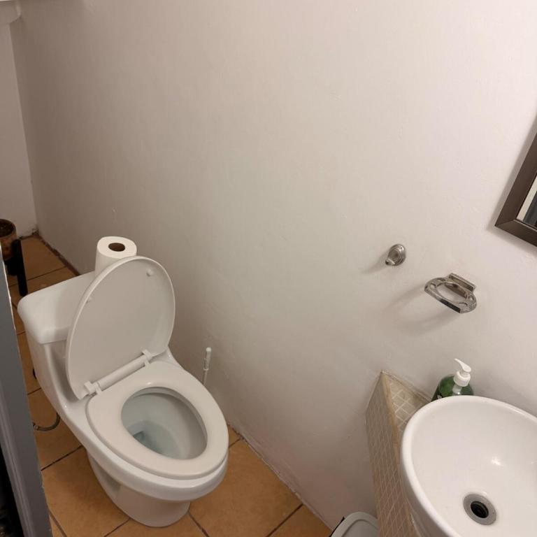 Native Department - One-Bedroom Apartment - 5