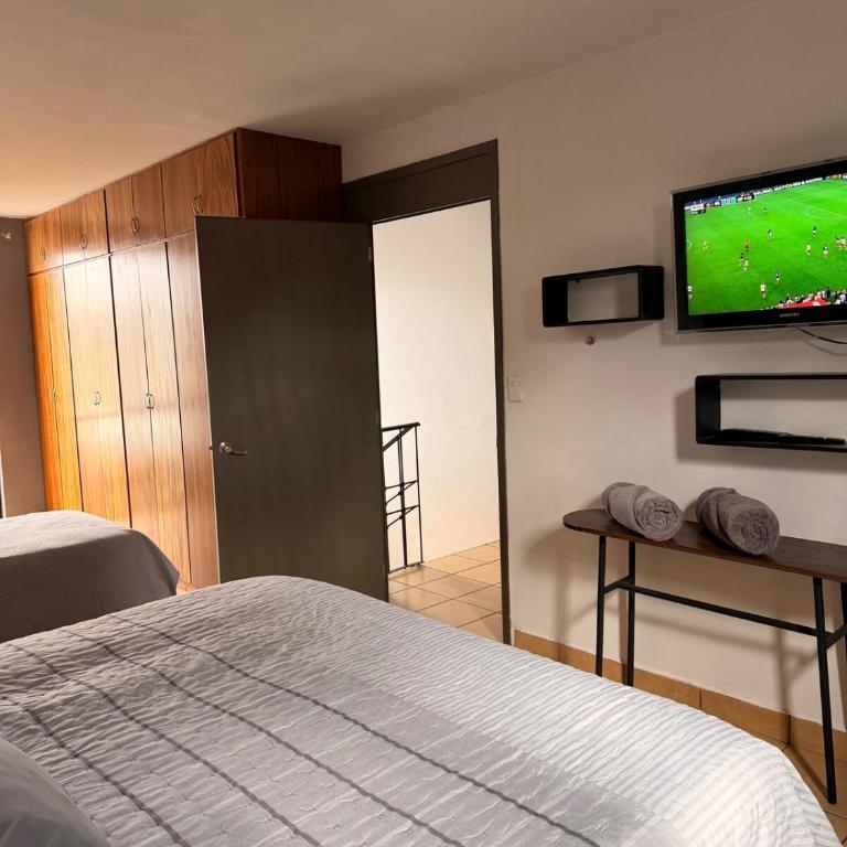 Native Department - One-Bedroom Apartment - 9