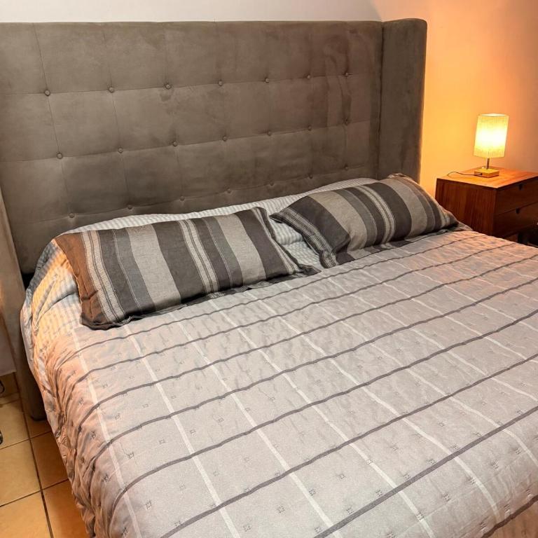 Native Department - One-Bedroom Apartment - 14