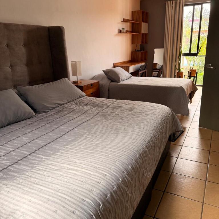 Native Department - One-Bedroom Apartment - 18