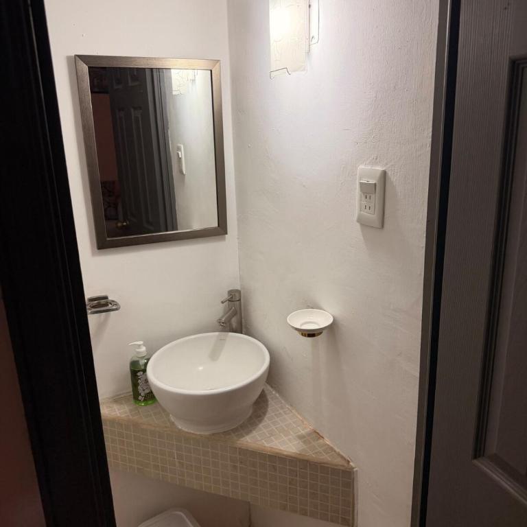 Native Department - One-Bedroom Apartment - 23