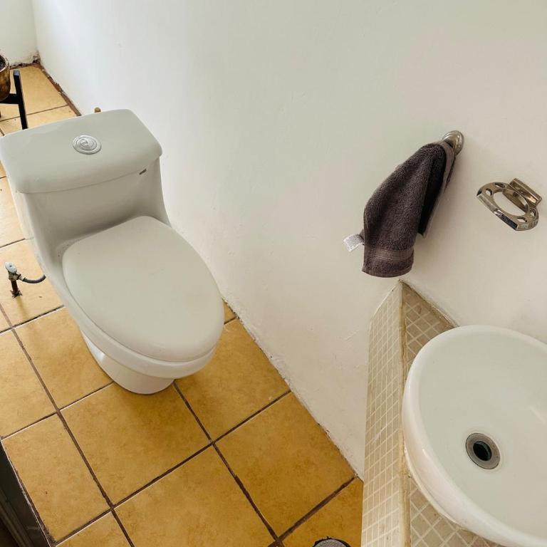 Native Department - One-Bedroom Apartment - 24