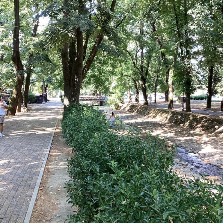 Forest View Apartment at Zepterme Hotel Private Host - Apartman sa 1 Spavaćom Sobom - 24