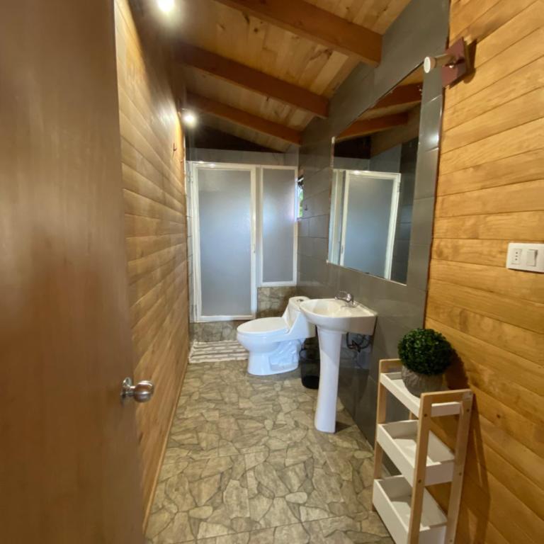 Casa equipada, Lican Ray, Villarrica, Chile - Casa de 5 dormitorios - 16