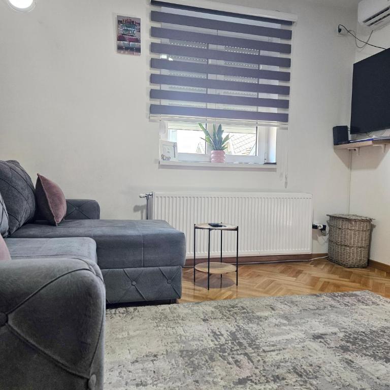 Apartman Cvetkovic - Apartment mit 2 Schlafzimmern - 22