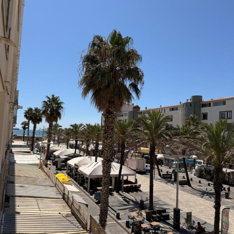 Studio vue mer, Piscine ,Parking, Rochelongue - Appartement 1 Chambre - 8