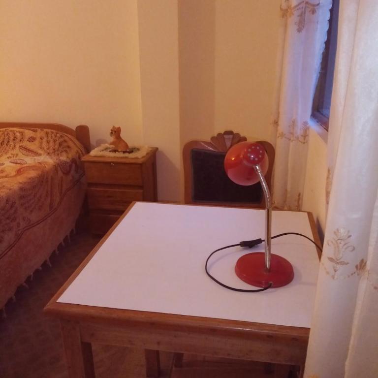 Departamento en Casa de Marlene y Américo - Apartamento de 1 dormitorio - 13
