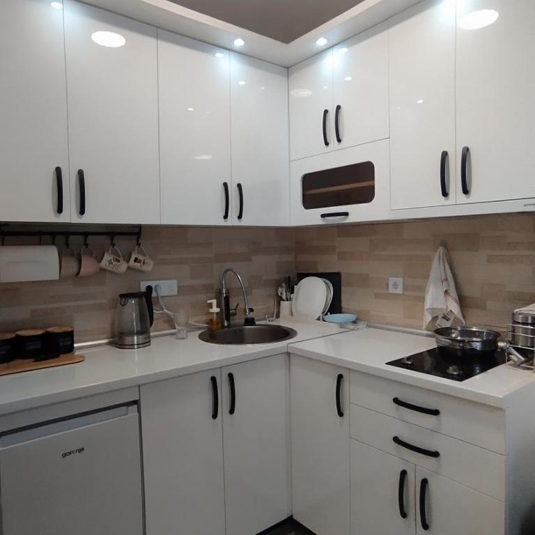 Divčibor - Apartman sa 1 Spavaćom Sobom - 10