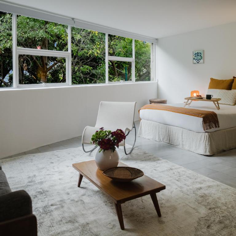 The Light Loft Bright Studio in Condesa - Apartment - 1