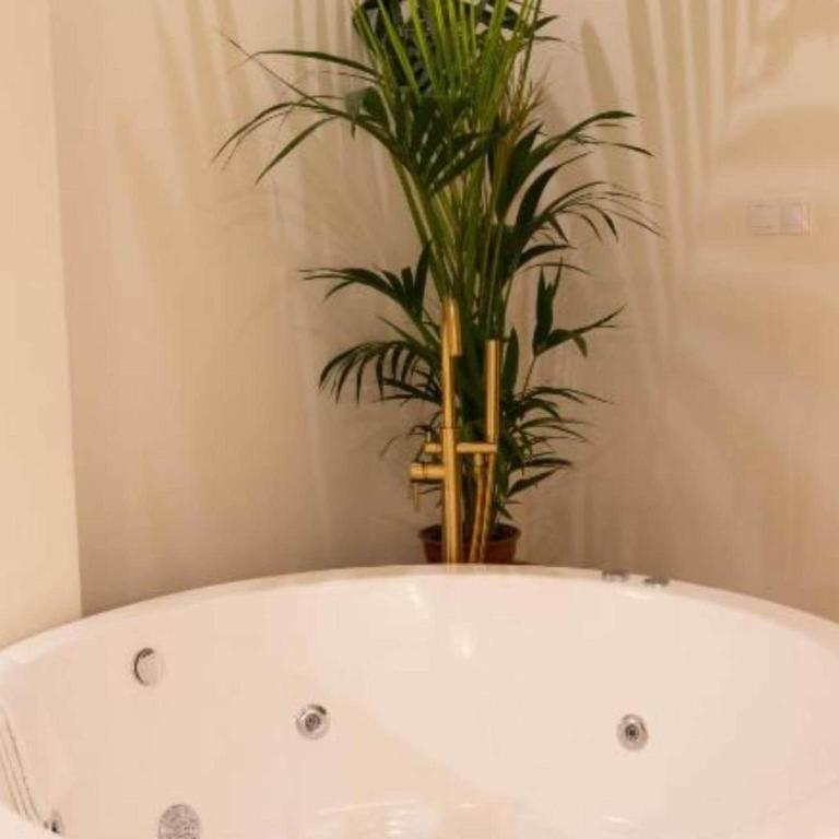 Quadruple Market Apartment with Jacuzzi - Casa Vacanze con 1 Camera da Letto - 11