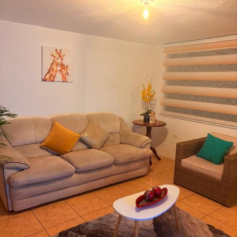 Quinta María Mercedes - Apartamento - 16