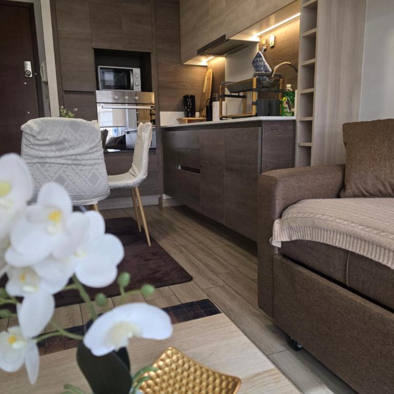 Departamentos Barrio Italia con Parking y wifi - One-Bedroom Apartment - 13