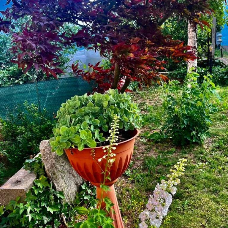 La villetta di Lilly - Appartamento con 3 Camere da Letto e con Balcone - 10