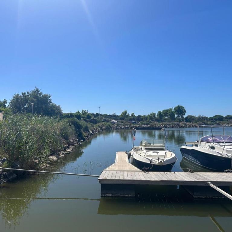 L'Ilot des Barcarelles-Vue Etangs-Piscine-Clim - Haus mit 2 Schlafzimmern - 21