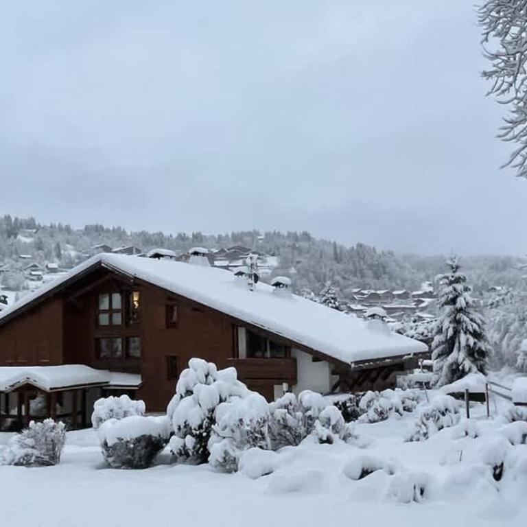 Les Comtes de Savoie - Appartement rénové proche du centre de Megève avec vue sur le Mont d'Arbois - Appartement 2 Chambres - 12