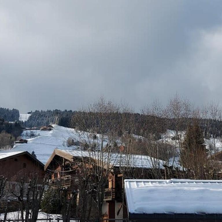 Les Comtes de Savoie - Appartement rénové proche du centre de Megève avec vue sur le Mont d'Arbois - Appartement 2 Chambres - 7