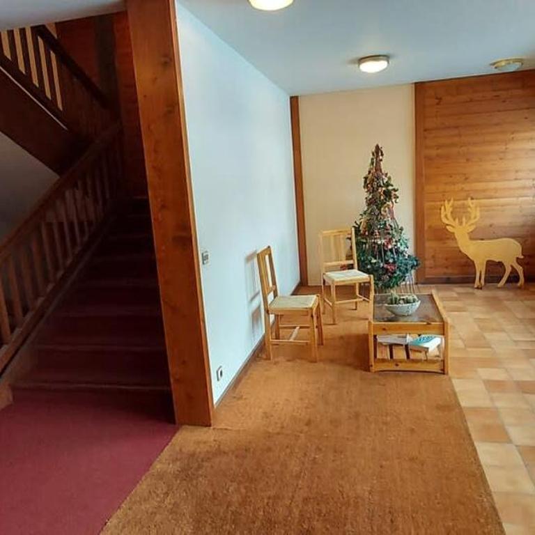 Les Comtes de Savoie - Appartement rénové proche du centre de Megève avec vue sur le Mont d'Arbois - Appartement 2 Chambres - 8