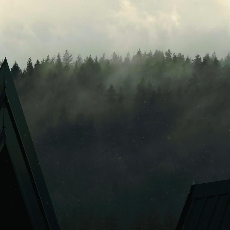 Wood heaven - Chalet mit 1 Schlafzimmer - 26