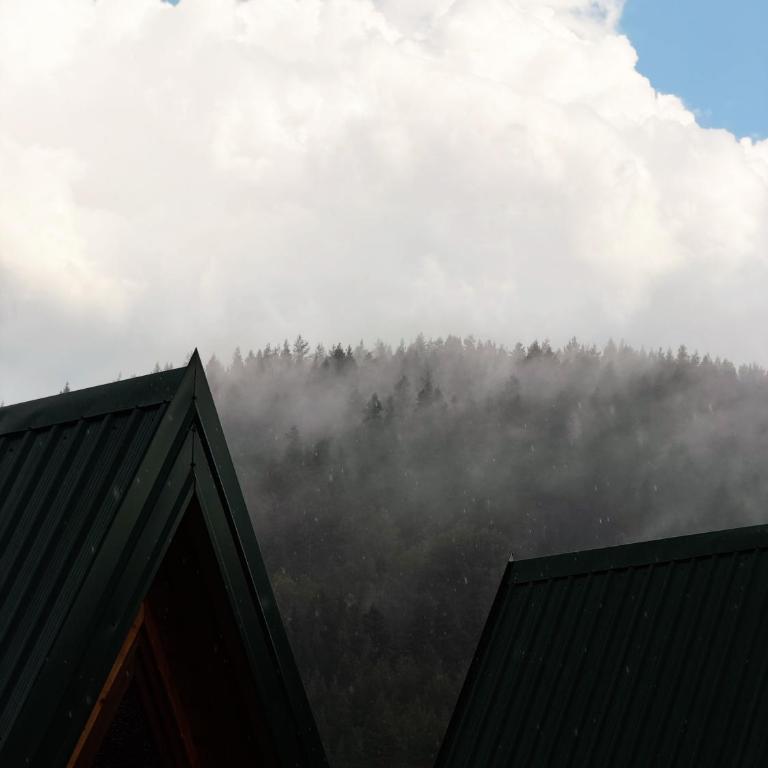 Wood heaven - Chalet mit 1 Schlafzimmer - 27