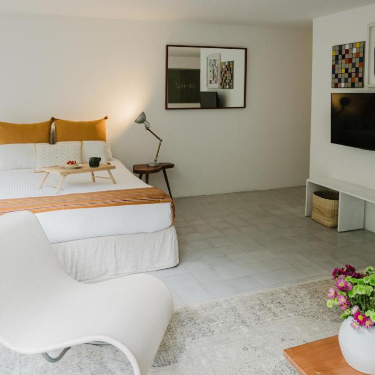 The Light Loft Bright Studio in Condesa - Apartment - 5