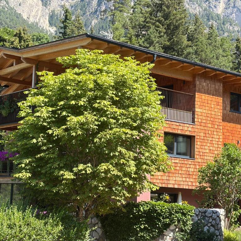 Haus Valier Tiers - Appartamento con 1 Camera da Letto - 1