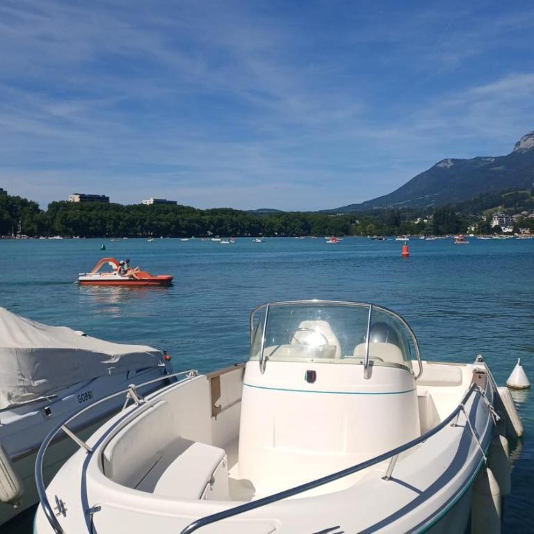 Appartement d'Exception between lake and mountains - Appartement 3 Chambres Premium - 12
