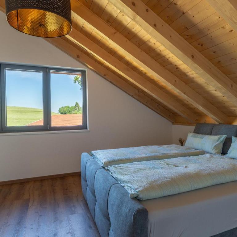 Ferienwohnung Alpennest - Appartamento con 1 Camera da Letto - 12