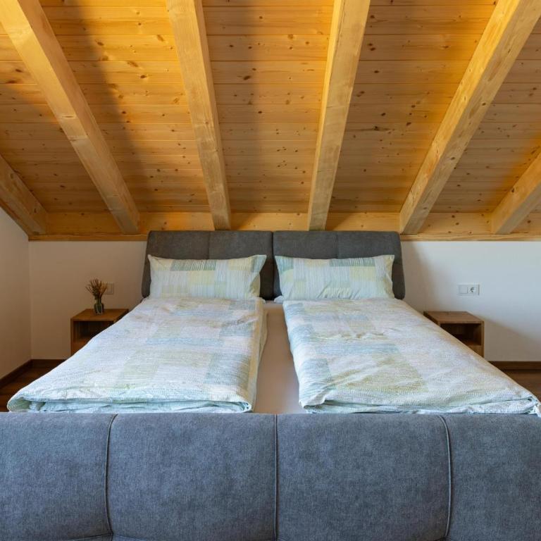 Ferienwohnung Alpennest - Appartamento con 1 Camera da Letto - 11