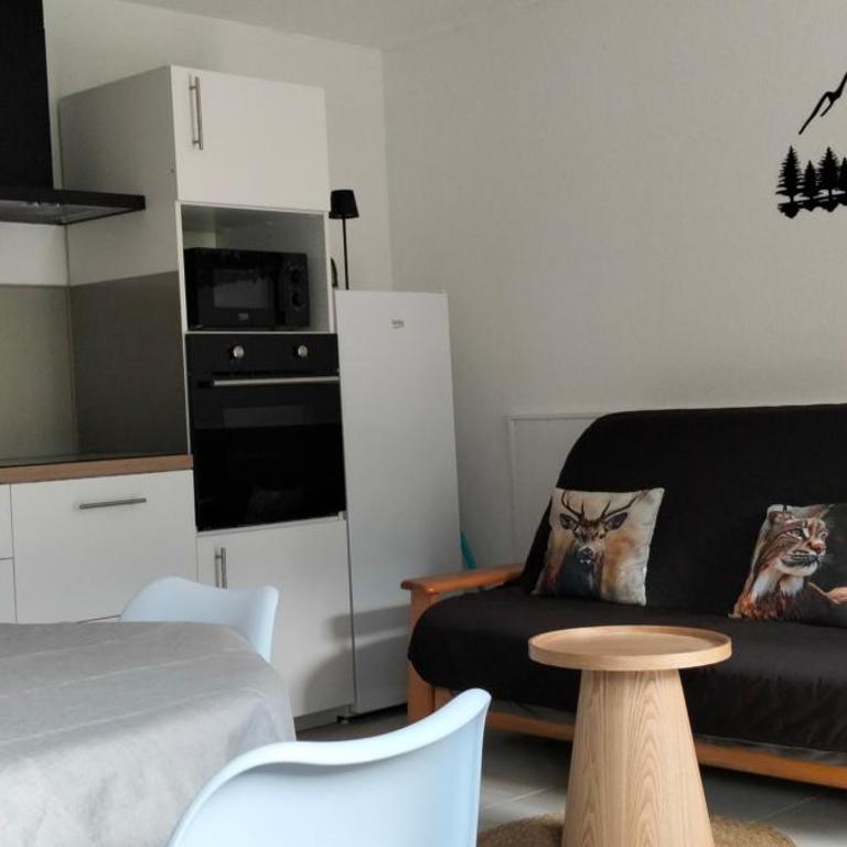 Chaley du Bayle - Appartement 1 Chambre - 5